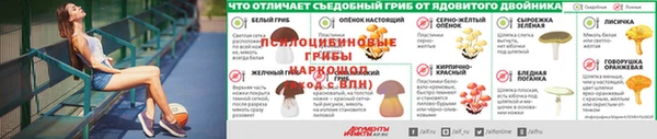 герыч Абинск