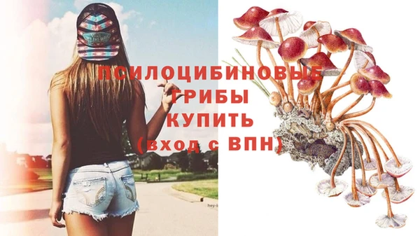 MESCALINE Абаза