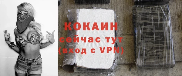прущие крисы Алзамай