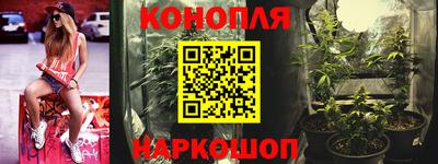 трава Партизанск