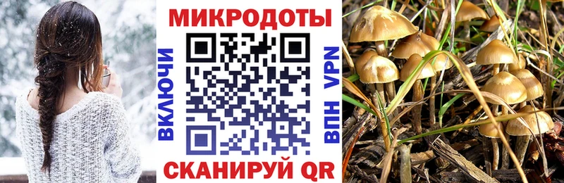 Псилоцибиновые грибы ЛСД  где продают   Сорочинск 